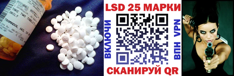 ЛСД экстази ecstasy  Кондопога 