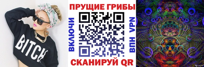 цены   Кондопога  Галлюциногенные грибы мухоморы 